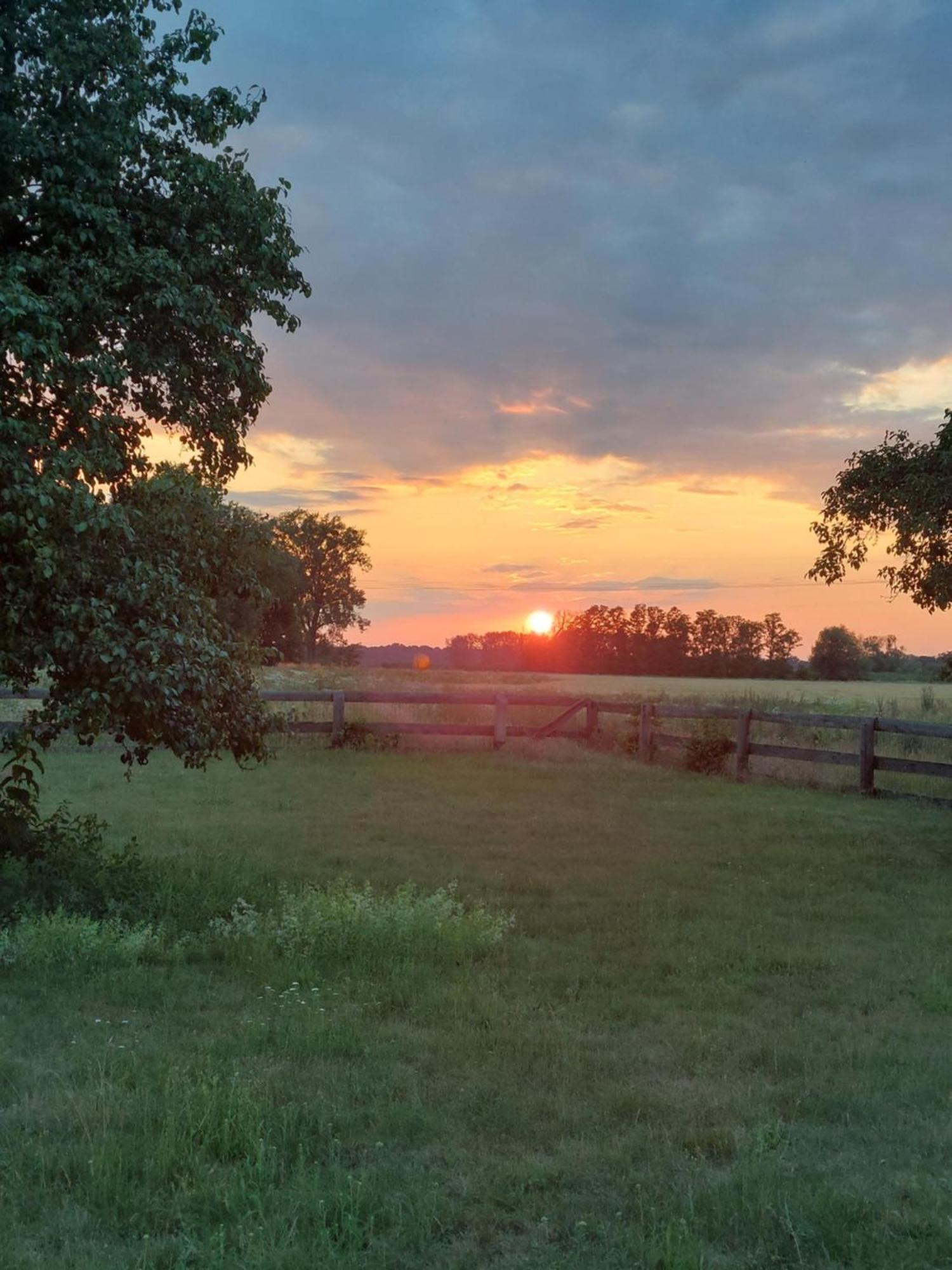 Sohl Farm Apartments Neutrebbin Bagian luar foto